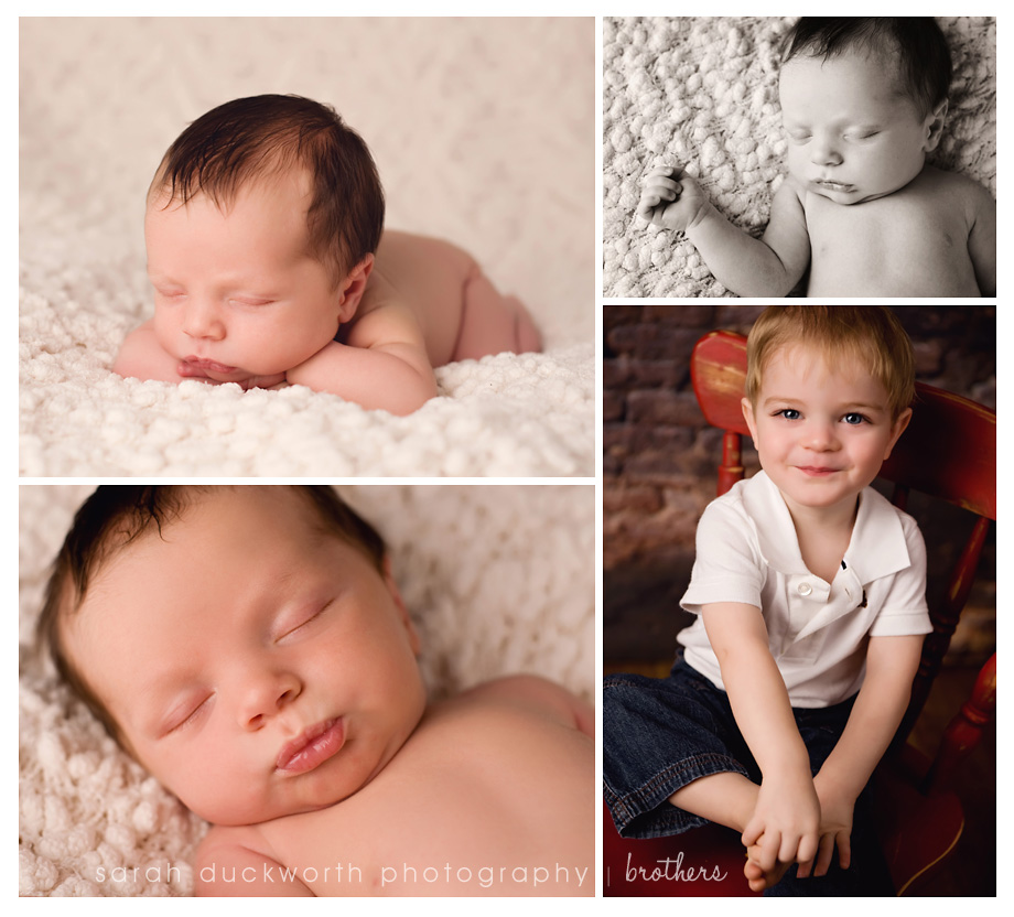 EvansBlog Newborn Photographer