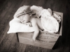 jax-051-bw