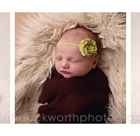 Newborn portraits Rockwall TX