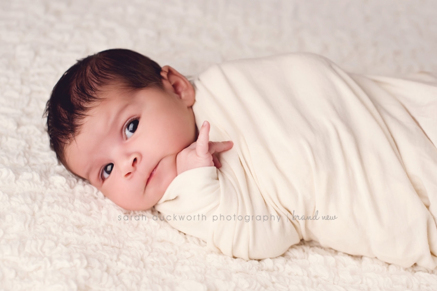 Newborn Portraits