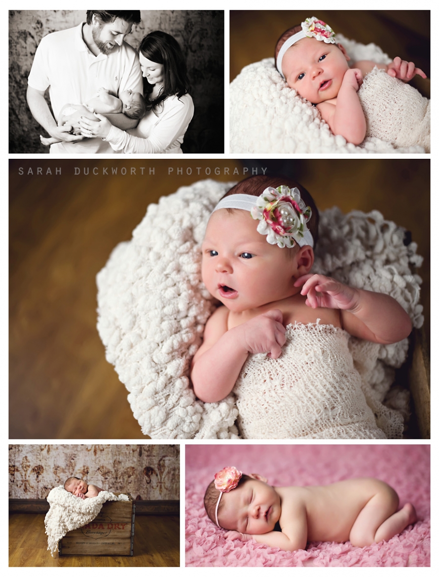 Newborn Portraits Rockwall TX