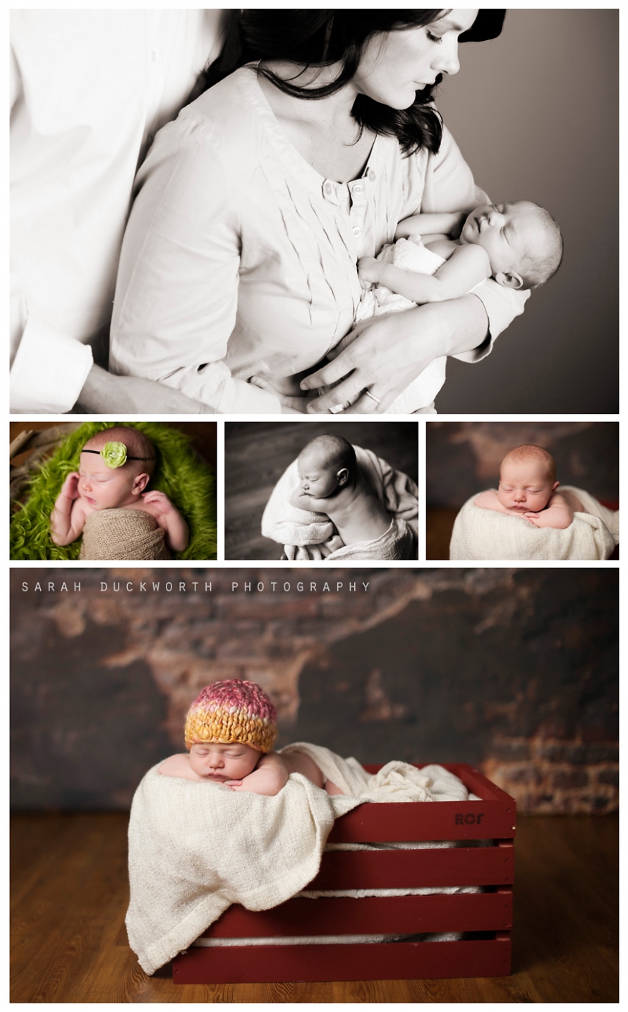 Newborn Pictures Rockwall