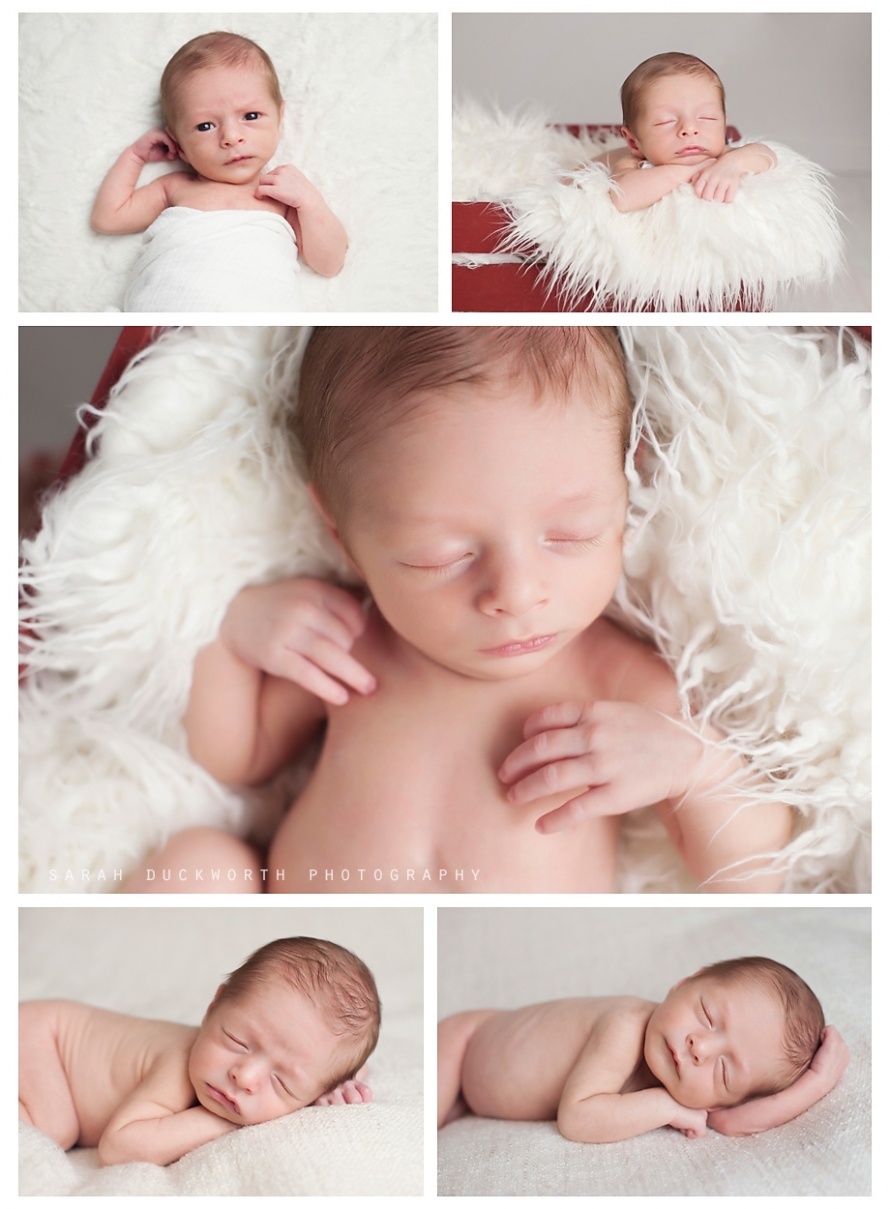 Rockwall Infant Photographer