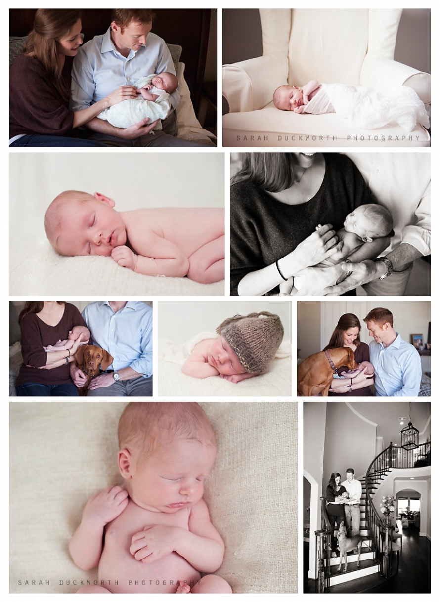 Dallas Newborn Photography